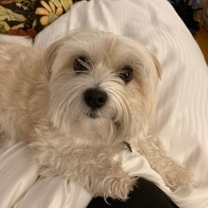 Meet your Posher, Marla